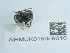  ( - NHMUK015059610)  @11 [ ] Unspecified (default): All Rights Reserved  Unspecified Unspecified