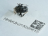  ( - NHMUK015059610)  @11 [ ] Unspecified (default): All Rights Reserved  Unspecified Unspecified