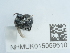  ( - NHMUK015059610)  @11 [ ] Unspecified (default): All Rights Reserved  Unspecified Unspecified