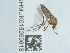  ( - NHMUK015059613)  @11 [ ] Unspecified (default): All Rights Reserved  Unspecified Unspecified