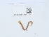  ( - NHMUK015059723)  @11 [ ] Unspecified (default): All Rights Reserved  Unspecified Unspecified
