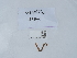  ( - NHMUK015059723)  @11 [ ] Unspecified (default): All Rights Reserved  Unspecified Unspecified