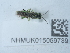  ( - NHMUK015059739)  @11 [ ] Unspecified (default): All Rights Reserved  Unspecified Unspecified