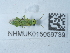  ( - NHMUK015059739)  @11 [ ] Unspecified (default): All Rights Reserved  Unspecified Unspecified