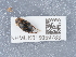  ( - NHMUK015059783)  @11 [ ] Unspecified (default): All Rights Reserved  Unspecified Unspecified