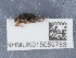  ( - NHMUK015059783)  @11 [ ] Unspecified (default): All Rights Reserved  Unspecified Unspecified