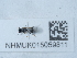  ( - NHMUK015059811)  @11 [ ] Unspecified (default): All Rights Reserved  Unspecified Unspecified