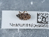  ( - NHMUK015059958)  @11 [ ] Unspecified (default): All Rights Reserved  Unspecified Unspecified