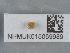  ( - NHMUK015059989)  @11 [ ] Unspecified (default): All Rights Reserved  Unspecified Unspecified