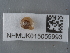  ( - NHMUK015059993)  @11 [ ] Unspecified (default): All Rights Reserved  Unspecified Unspecified