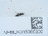  ( - NHMUK015060300)  @11 [ ] Unspecified (default): All Rights Reserved  Unspecified Unspecified