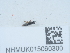  ( - NHMUK015060300)  @11 [ ] Unspecified (default): All Rights Reserved  Unspecified Unspecified