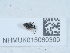  ( - NHMUK015060300)  @11 [ ] Unspecified (default): All Rights Reserved  Unspecified Unspecified