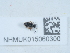  ( - NHMUK015060300)  @11 [ ] Unspecified (default): All Rights Reserved  Unspecified Unspecified