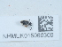  ( - NHMUK015060300)  @11 [ ] Unspecified (default): All Rights Reserved  Unspecified Unspecified