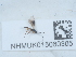  ( - NHMUK015060305)  @11 [ ] Unspecified (default): All Rights Reserved  Unspecified Unspecified
