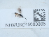  ( - NHMUK015060305)  @11 [ ] Unspecified (default): All Rights Reserved  Unspecified Unspecified