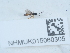  ( - NHMUK015060305)  @11 [ ] Unspecified (default): All Rights Reserved  Unspecified Unspecified