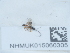  ( - NHMUK015060305)  @11 [ ] Unspecified (default): All Rights Reserved  Unspecified Unspecified