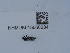  ( - NHMUK015060334)  @11 [ ] Unspecified (default): All Rights Reserved  Unspecified Unspecified