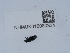  ( - NHMUK015060334)  @11 [ ] Unspecified (default): All Rights Reserved  Unspecified Unspecified