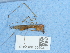  ( - NHMUK015060373)  @11 [ ] Unspecified (default): All Rights Reserved  Unspecified Unspecified