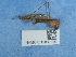  ( - NHMUK015060380)  @11 [ ] Unspecified (default): All Rights Reserved  Unspecified Unspecified