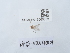  (Macrocera anglica - NHMUK015060383)  @11 [ ] Unspecified (default): All Rights Reserved  Unspecified Unspecified