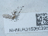  ( - NHMUK015060395)  @11 [ ] Unspecified (default): All Rights Reserved  Unspecified Unspecified