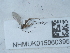  ( - NHMUK015060395)  @11 [ ] Unspecified (default): All Rights Reserved  Unspecified Unspecified