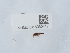 ( - NHMUK015060417)  @11 [ ] Unspecified (default): All Rights Reserved  Unspecified Unspecified