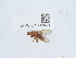  ( - NHMUK015060421)  @11 [ ] Unspecified (default): All Rights Reserved  Unspecified Unspecified