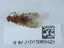  ( - NHMUK015060425)  @11 [ ] Unspecified (default): All Rights Reserved  Unspecified Unspecified