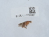  ( - NHMUK015060427)  @11 [ ] Unspecified (default): All Rights Reserved  Unspecified Unspecified