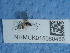  ( - NHMUK015060456)  @11 [ ] Unspecified (default): All Rights Reserved  Unspecified Unspecified
