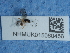  ( - NHMUK015060456)  @11 [ ] Unspecified (default): All Rights Reserved  Unspecified Unspecified