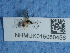  ( - NHMUK015060456)  @11 [ ] Unspecified (default): All Rights Reserved  Unspecified Unspecified