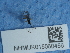  ( - NHMUK015060456)  @11 [ ] Unspecified (default): All Rights Reserved  Unspecified Unspecified