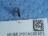  ( - NHMUK015060456)  @11 [ ] Unspecified (default): All Rights Reserved  Unspecified Unspecified