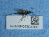  ( - NHMUK015060467)  @11 [ ] Unspecified (default): All Rights Reserved  Unspecified Unspecified