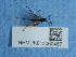  ( - NHMUK015060467)  @11 [ ] Unspecified (default): All Rights Reserved  Unspecified Unspecified