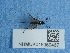  ( - NHMUK015060467)  @11 [ ] Unspecified (default): All Rights Reserved  Unspecified Unspecified