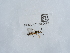  ( - NHMUK015060479)  @11 [ ] Unspecified (default): All Rights Reserved  Unspecified Unspecified