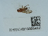  ( - NHMUK015060486)  @11 [ ] Unspecified (default): All Rights Reserved  Unspecified Unspecified