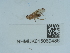 ( - NHMUK015060486)  @11 [ ] Unspecified (default): All Rights Reserved  Unspecified Unspecified