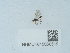  ( - NHMUK015060519)  @11 [ ] Unspecified (default): All Rights Reserved  Unspecified Unspecified