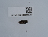  ( - NHMUK015060522)  @11 [ ] Unspecified (default): All Rights Reserved  Unspecified Unspecified
