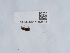  ( - NHMUK015060544)  @11 [ ] Unspecified (default): All Rights Reserved  Unspecified Unspecified