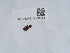  ( - NHMUK015060544)  @11 [ ] Unspecified (default): All Rights Reserved  Unspecified Unspecified