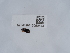  ( - NHMUK015060544)  @11 [ ] Unspecified (default): All Rights Reserved  Unspecified Unspecified